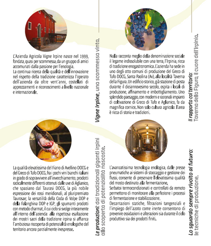 VINO BIANCO FIANO DI AVELLINO DOCG - 75CL - VIGNE IRPINE