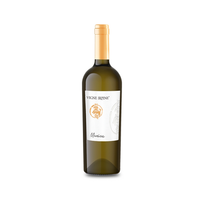 Music Campania Falanghina IGP
