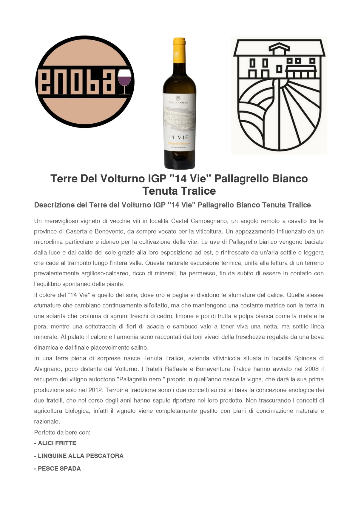 VINO BIANCO 14 VIE PALLAGRELLO BIANCO DOP - 75CL - TENUTA TRALICE